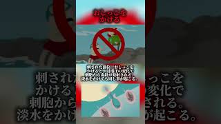 クラゲに刺された時の正解🙆‍♀️vs不正解🙅‍♂️ [upl. by Anyaled]