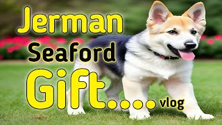 Jerman Seaford Puppy Gift Mila 🥳😳 vlog [upl. by Aihsad]