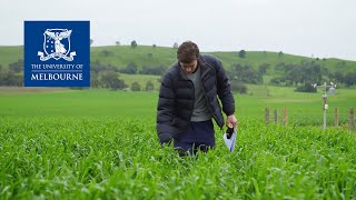 The University of Melbourne Bachelor of Agriculture [upl. by Bibbye]