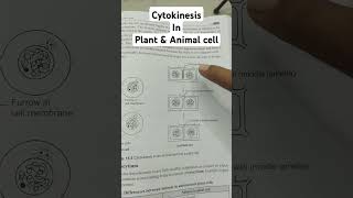 Cytokinesis in Plant and animal cell biology neet celldivision skyclasses [upl. by Aehtorod]