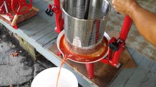 Juicing Apples in TSM Harvest Fruit and Wine Press [upl. by Furie]