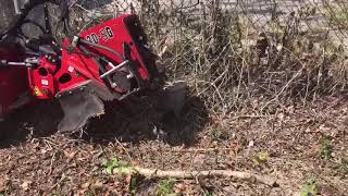 Barreto SG30 stump grinder up close all action [upl. by Petit]