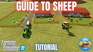 GUIDE TO SHEEP  Farming Simulator 22 [upl. by Aeht]