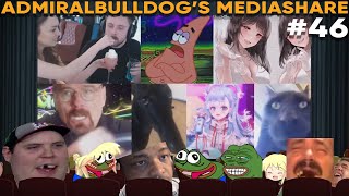 AdmiralBulldogs Mediashare 46 [upl. by Nagirrek155]