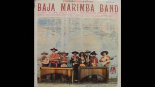 Decembers Child  Baja Marimba Band [upl. by Celene]