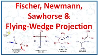 Fischer Newman Sawhorse and FlyingWedge projections [upl. by Wandis]