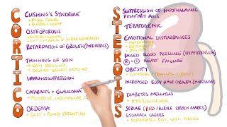 Corticosteroid Side Effects Mnemonic  What are the side effects of corticosteroids [upl. by Loggins644]