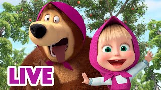 🔴 LIVE 🐻👧 Masha y el Oso 2024 🐾 Para los que vagan 🎬 Masha and the Bear [upl. by Fabiola]