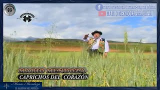 Mario Mendoza  Caprichos del Corazon [upl. by Ynohtnael392]