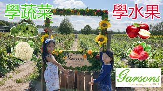 Learn cantonese  chinese fruit 學水果 and vegetables 學蔬菜 Garsons Pick Your Fruit Farm [upl. by Aidnic]