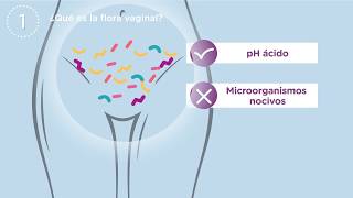 Probióticos para el cuidado de la flora íntima [upl. by Ysac]