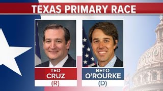 What the Texas primaries mean for US midterms [upl. by Iluj]