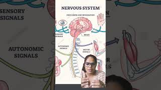 Different types of receptors [upl. by Laet]