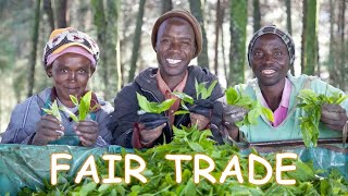 What is Fair Trade [upl. by Enilkcaj]