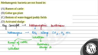 Methanogenic bacteria are not found in [upl. by Odarbil]