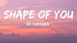 Ed Sheeran  Shape of YouLyrics [upl. by Suellen833]