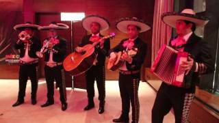 Mexican The Mariachi Band  Showcase [upl. by Green]