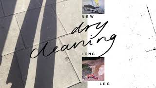 Dry Cleaning  Leafy Official Audio [upl. by Orlanta444]