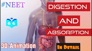 Digestion and Absorption part 1  Biology Endgame  class 11 NEET 2023 amp 2024  Study animated [upl. by Oribella316]