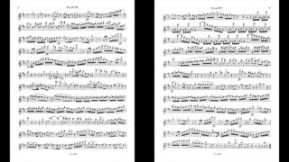 Mozart Flute Concerto in D K314 I Allegro aperto Piano Accompaniment [upl. by Aix]