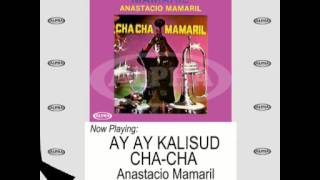 Cha Cha Pinoy Non Stop 19 Songs  Anastacio Mamaril [upl. by Haldas]