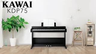 Kawai KDP75 Digital Piano Introduction  Kawai KDP Series [upl. by Eniowtna322]