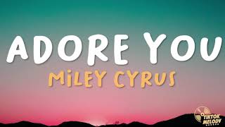 Miley Cyrus  Adore You Lyrics [upl. by Hilten180]