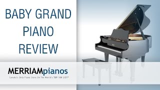 Baby Grand Piano Everything You Ever Needed To Know About Baby Grand Pianos by Merriam Pianos [upl. by Lewie536]