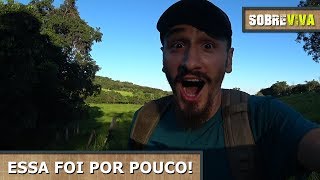 24 horas sozinho no mato sobrevivendo e rastreando animais  Sobreviva Ep15 [upl. by Nyvrem]