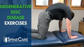 Degenerative Disc Disease Exercises  SpineCare St Joseph MI Chiropractic [upl. by Gipson]