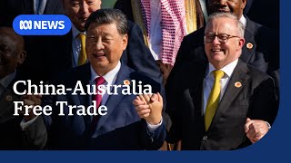 China pushing free trade at G20 ahead of Trump presidency  ABC NEWS [upl. by Ayocat]