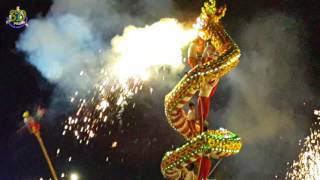 Chinese New Year Dragon Show  Chinese Traditional New Year  Dragon Dance [upl. by Chan112]