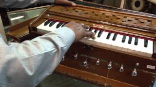 Harmonium BINASWAR 3 ¼ oct with old GERMAN reeds [upl. by Ilehs915]