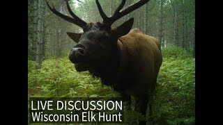 Wisconsins First Managed Elk Hunt  what you need to know  Wisconsin DNR [upl. by Halvaard]