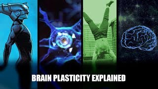 Brain Plasticity Explained How to Support Learning and Growth [upl. by Fawn]