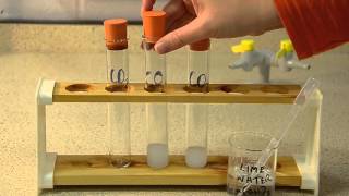 Gas Tests The Tests for Carbon Dioxide Oxygen and Hydrogen [upl. by Sumner]