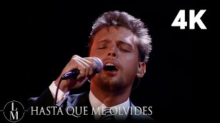 Luis Miguel  Hasta Que Me Olvides En Vivo Video Oficial 4K [upl. by Ynohta672]