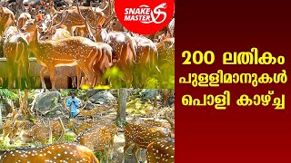 200 ലതികം പുള്ളിമാനുകൾ പൊളി കാഴ്ച്ച  Snakemaster EP 659  Kaumudy [upl. by Malinin]