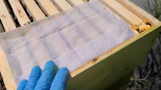 Unscented Swiffer Sheets Small Hive Beetle Control [upl. by Atisor118]