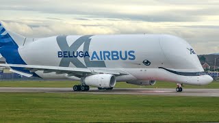 Airbus Belugas landing and takeoff at Chester Hawarden Airport [upl. by Hpesojnhoj]