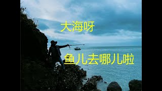 Cornwallis Beach 岩钓 奥克兰的鱼儿去哪啦 鱼夫没有鱼钓就只能捡螺了【NZ Lucy Vlog 125】 [upl. by Haila]