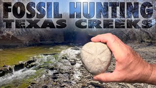 Fossil Hunting North Texas Creeks  Feb  2023 [upl. by Isewk445]