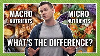 Macronutrients vs Micronutrients [upl. by Nallid]