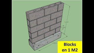 Cuantos BLOQUES o Blocks entran en UN METRO CUADRADO [upl. by Xella748]