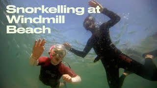 Windmill Beach Snorkelling Adventure [upl. by Cavallaro]