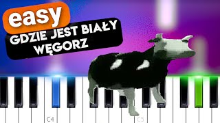 tylko jedno w glowie mam  Cypis  Gdzie jest biały węgorz EASY PIANO TUTORIAL [upl. by Aneehsal114]