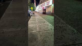 MILLIONS of LOCUST INVASION in LAS VEGAS [upl. by Rossi]