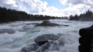 Storforsen Waterfall  Sweden [upl. by Anaig635]