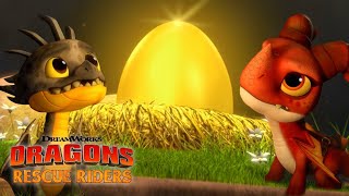 DRAGONS RESCUE RIDERS HUNT FOR THE GOLDEN DRAGON  Trailer [upl. by Atirahs]