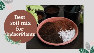 My House Plants Soil Mix  How to Make Best Soil Mix Potting Mix for Indoor Plants [upl. by Clayborne]